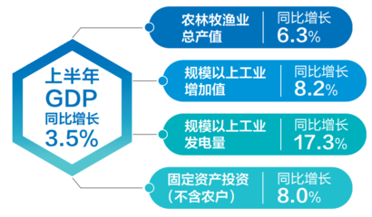 澄江市政府加强对第一产业的投资，推动农业现代化发展