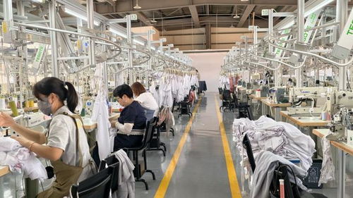 820万撬来6.42亿投资，沪滇协作30年如何重塑西双版纳第一产业